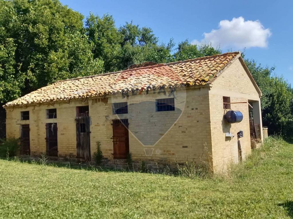 Rustico / casale a Polverigi - Foto 5