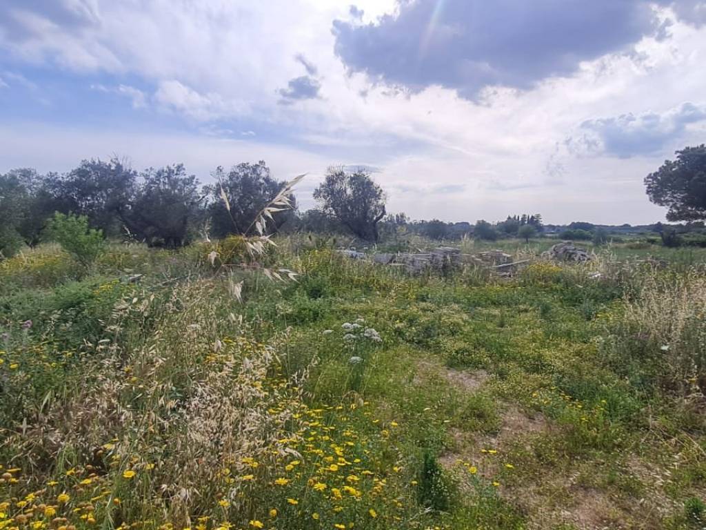 Terreno a Zollino in Via Madonna di Loreto - Foto 3
