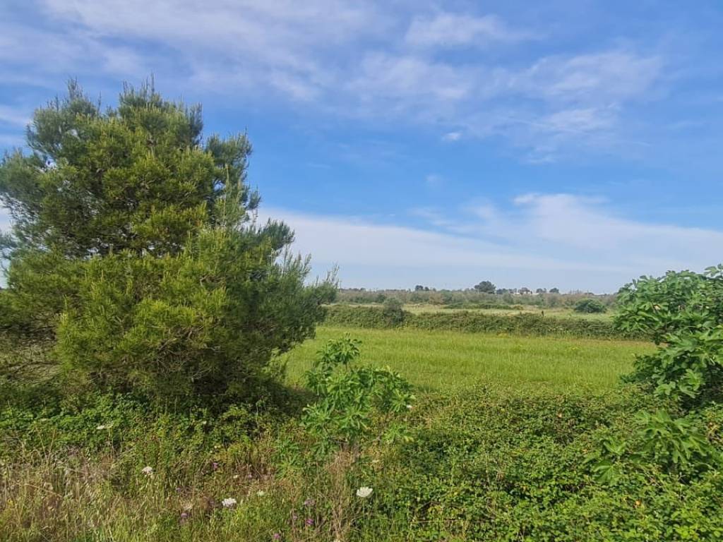 Terreno a Zollino in Via Madonna di Loreto - Foto 4