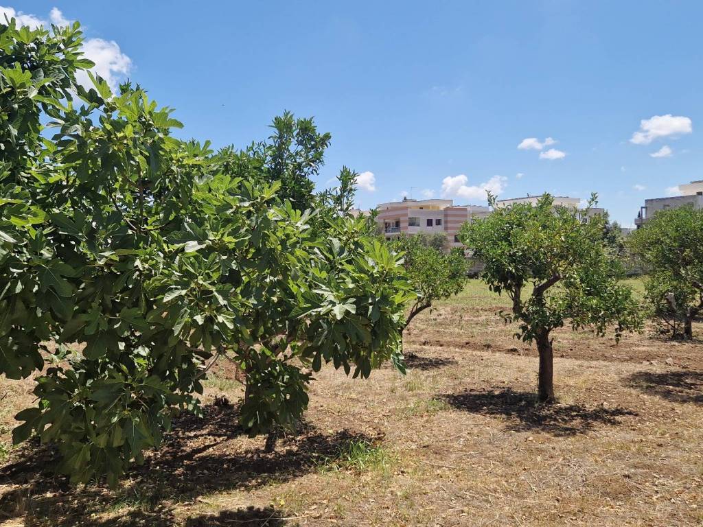 Terreno a Lecce in Via Francesco Bernardini - Foto 2