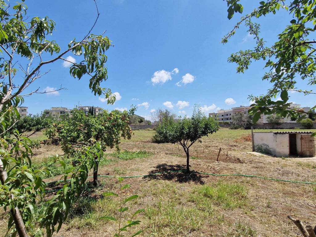 Terreno a Lecce in Via Francesco Bernardini - Foto 3