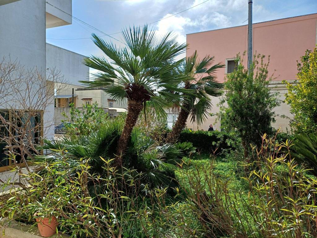 Palazzo / stabile a San cesario di lecce in Via Ferrovia, 62 - Foto 3