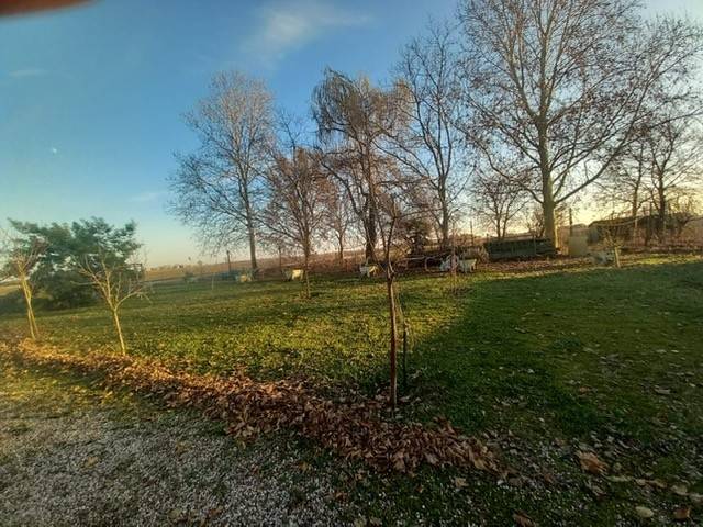 Casa indipendente a Bagnolo di po - Foto 5