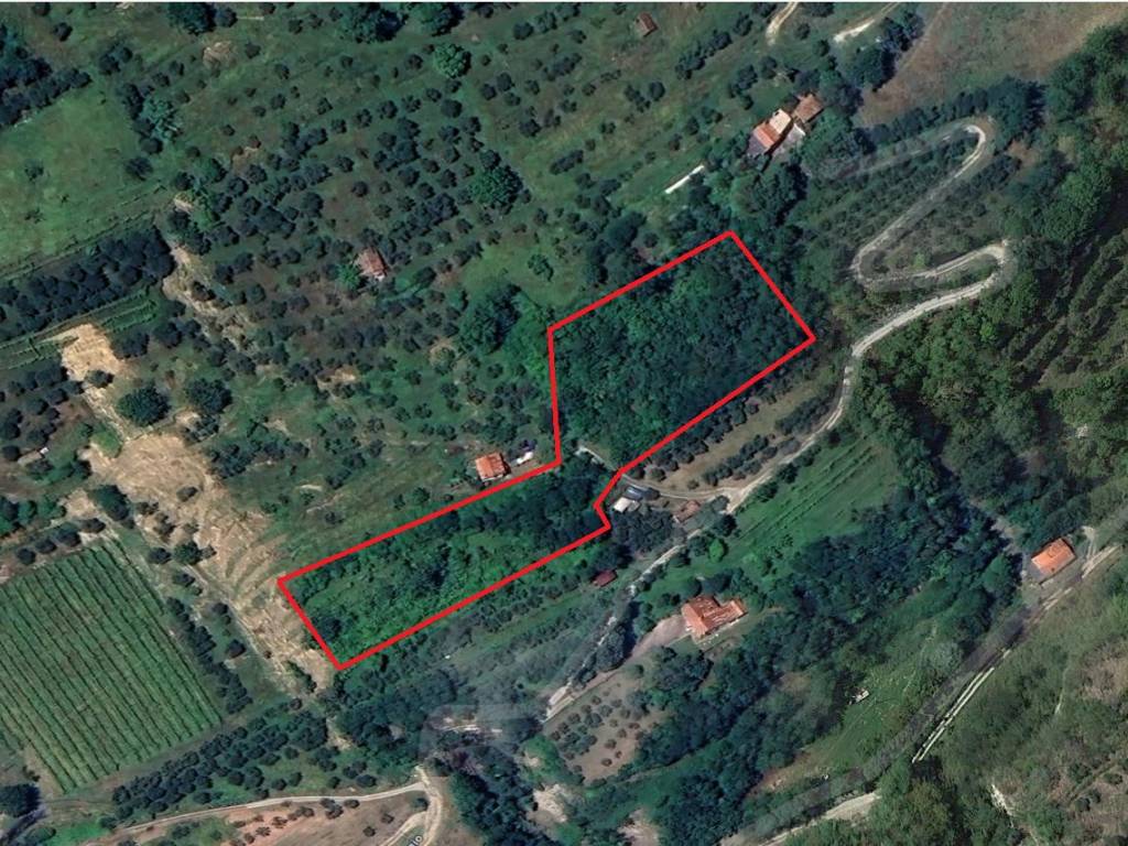 Terreno a Brisighella - Foto 1