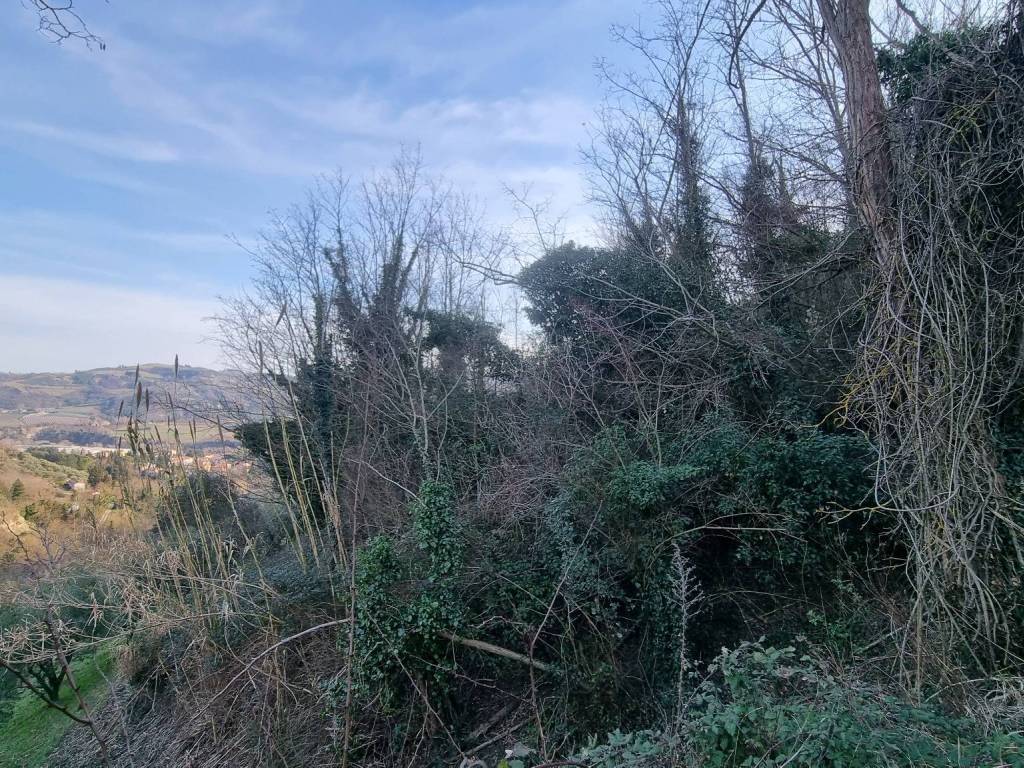 Terreno a Brisighella - Foto 3