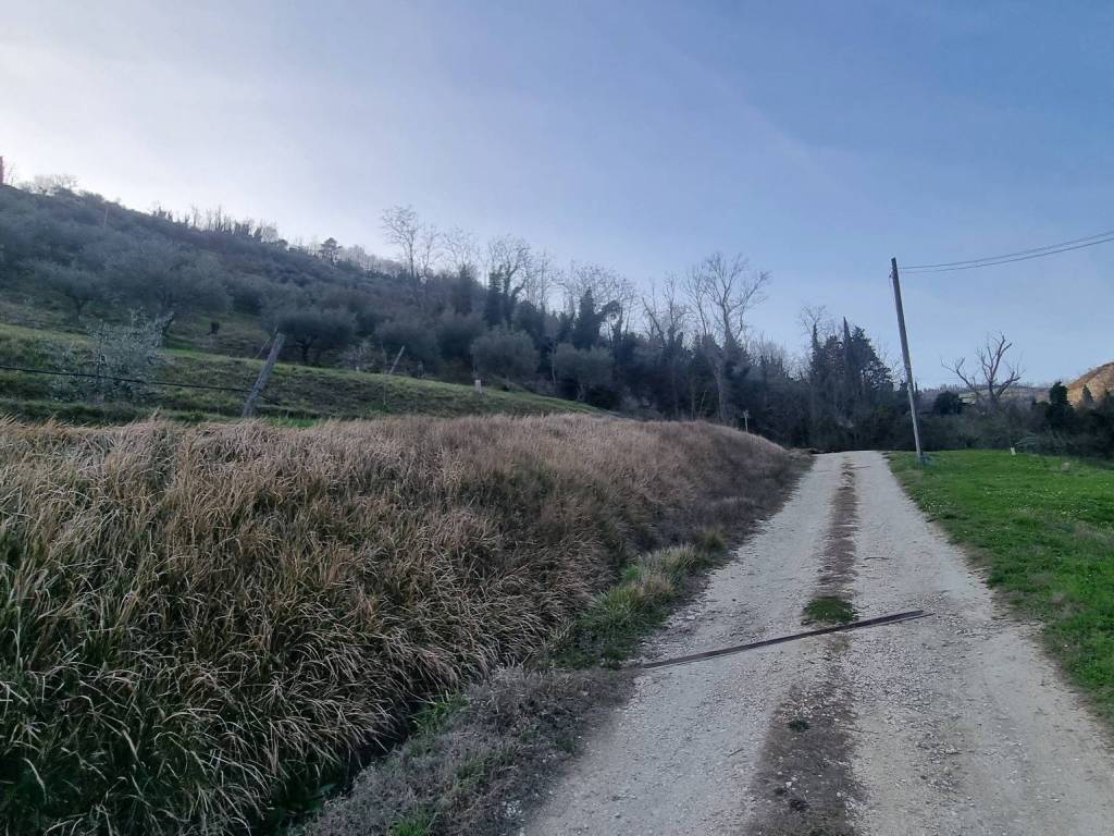 Terreno a Brisighella - Foto 4