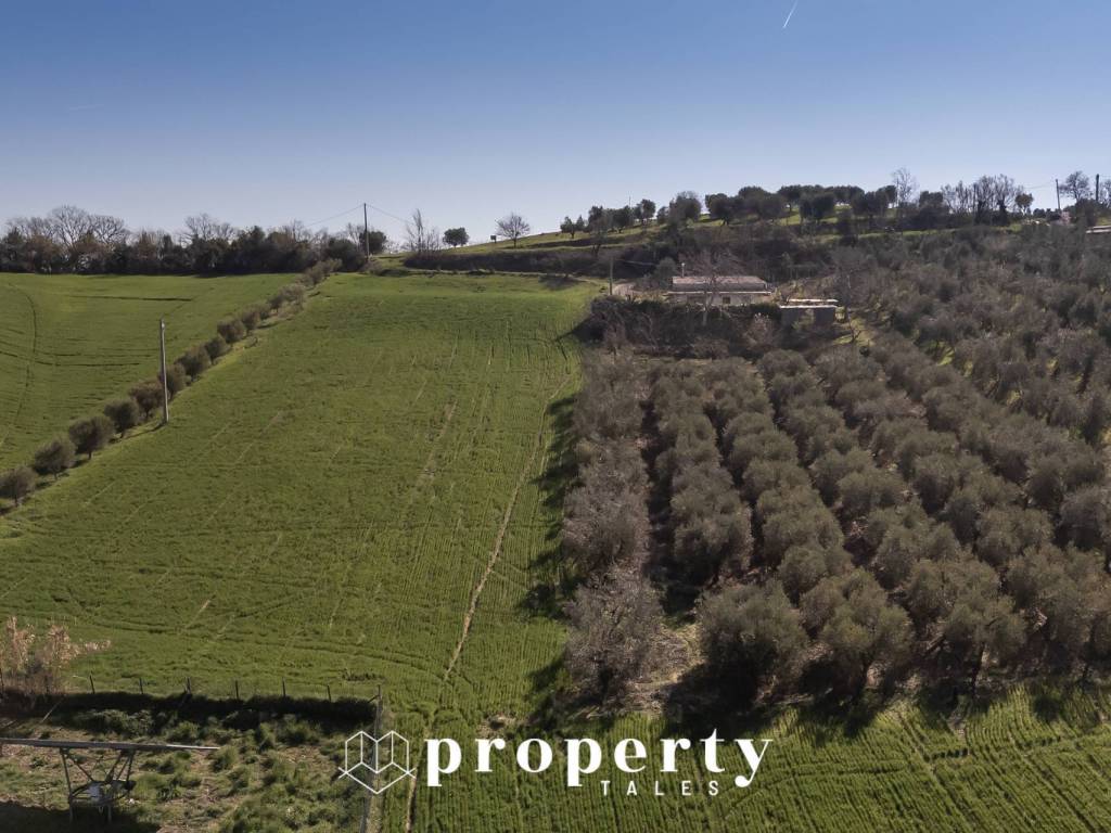 Rustico / casale a Monsampolo del tronto in contrada sant'egidio - Foto 4