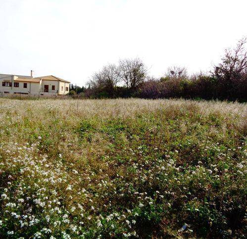 Terreno a Castelvetrano in Via Giallonghi - Foto 5