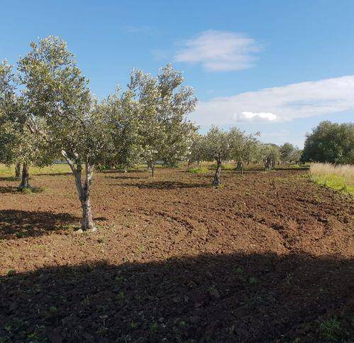 Terreno a Castelvetrano in Marinella Di Selinunte - Foto 4