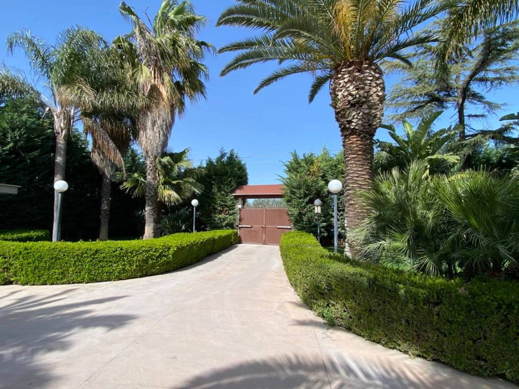 Villa a Bisceglie in Via Vecchia Corato, 75 - Foto 3