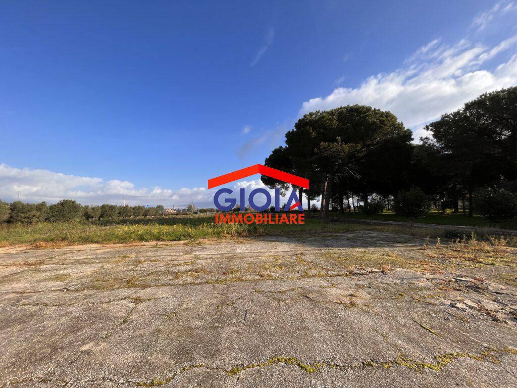 Terreno a Cellole in Via Domiziana, 18 - Foto 2