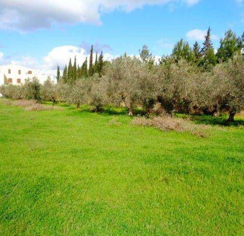 Terreno a Castelvetrano in Giallonghi - Foto 4