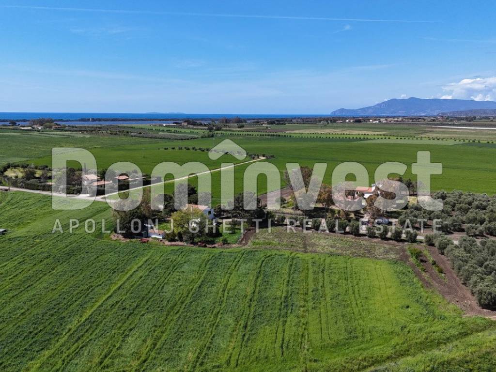 Rustico / casale a Capalbio in Selva nera - Foto 2