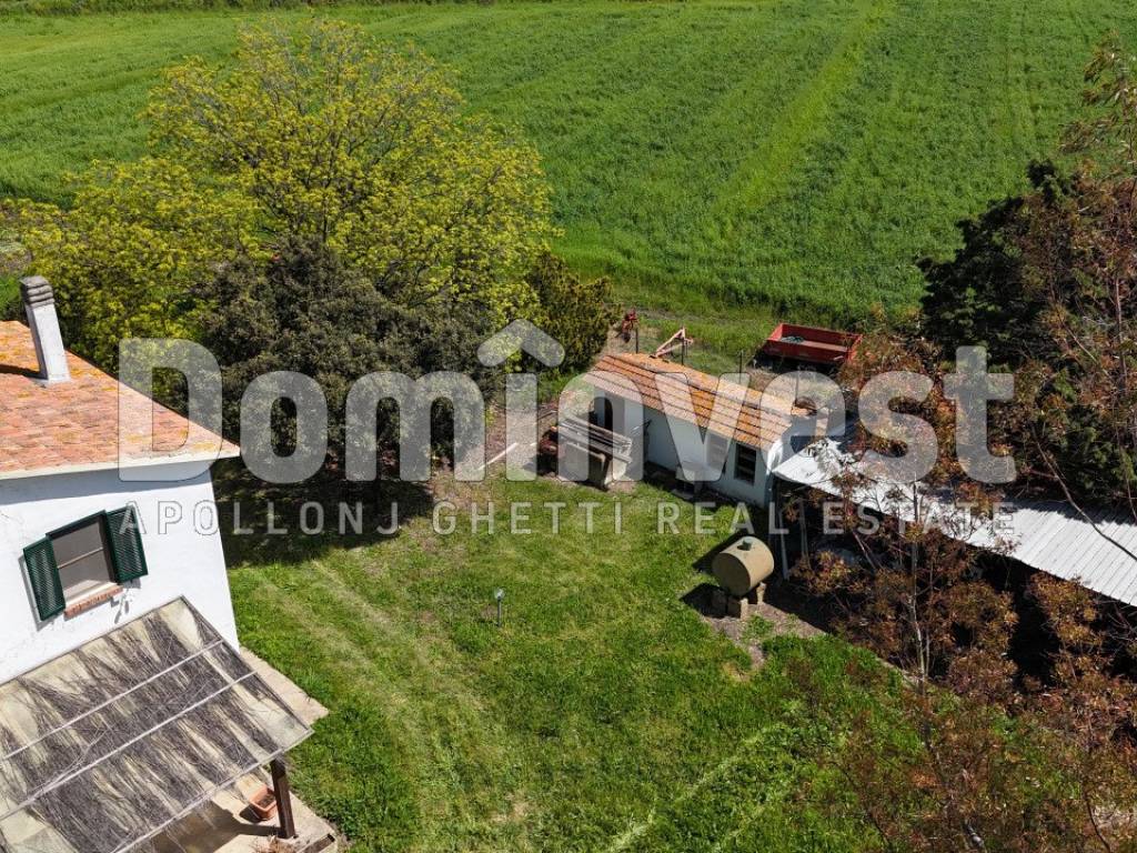 Rustico / casale a Capalbio in Selva nera - Foto 3