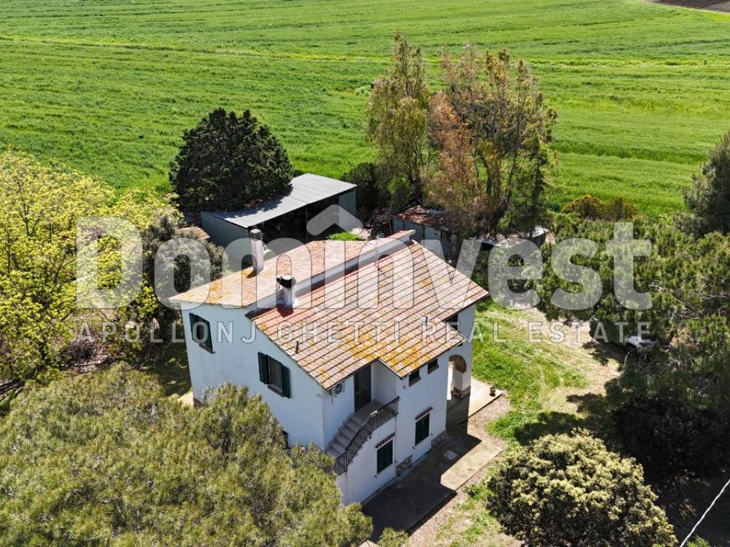 Rustico / casale a Capalbio in Selva nera - Foto 4