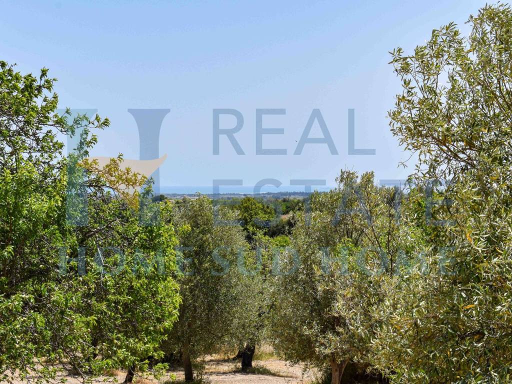 Terreno a Noto in Via Tommaso Fazello, 228 - Foto 2