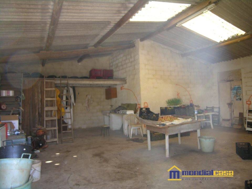 Terreno a Pachino in c.da Chiusa Mulino - Foto 5