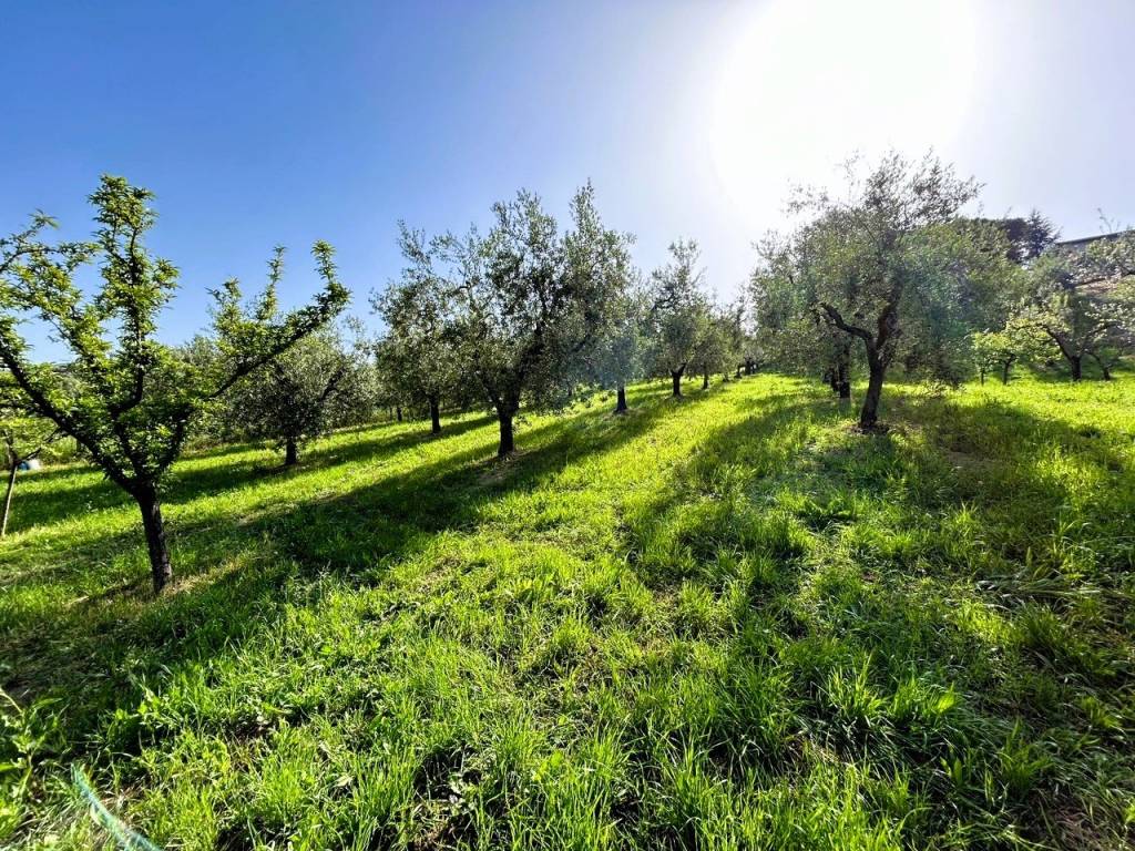 Terreno a Poggio mirteto in Via Coste, 2 - Foto 4