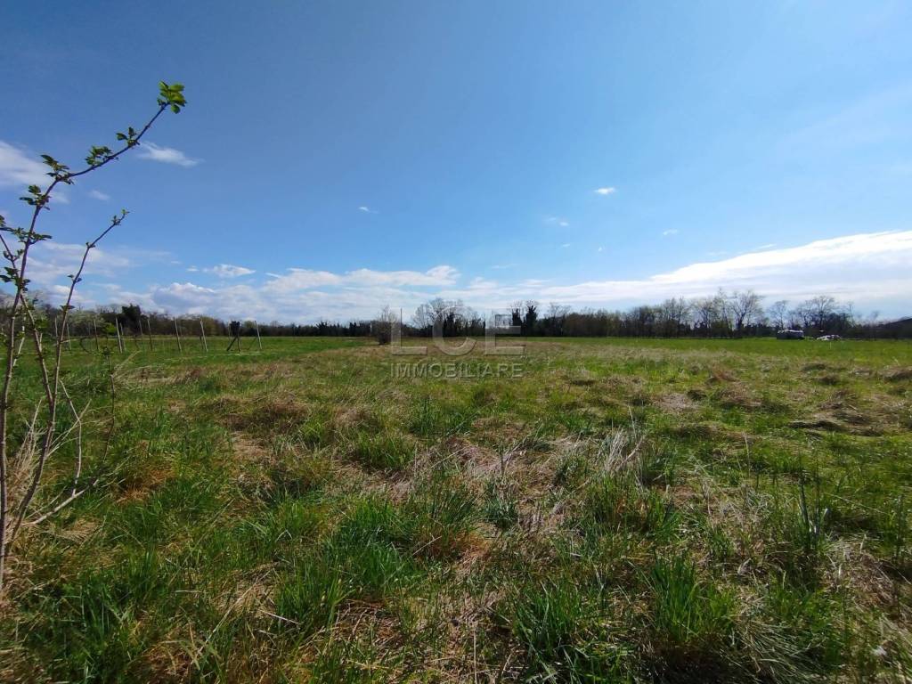 Terreno a Arba in Via Umberto I, 120 - Foto 2
