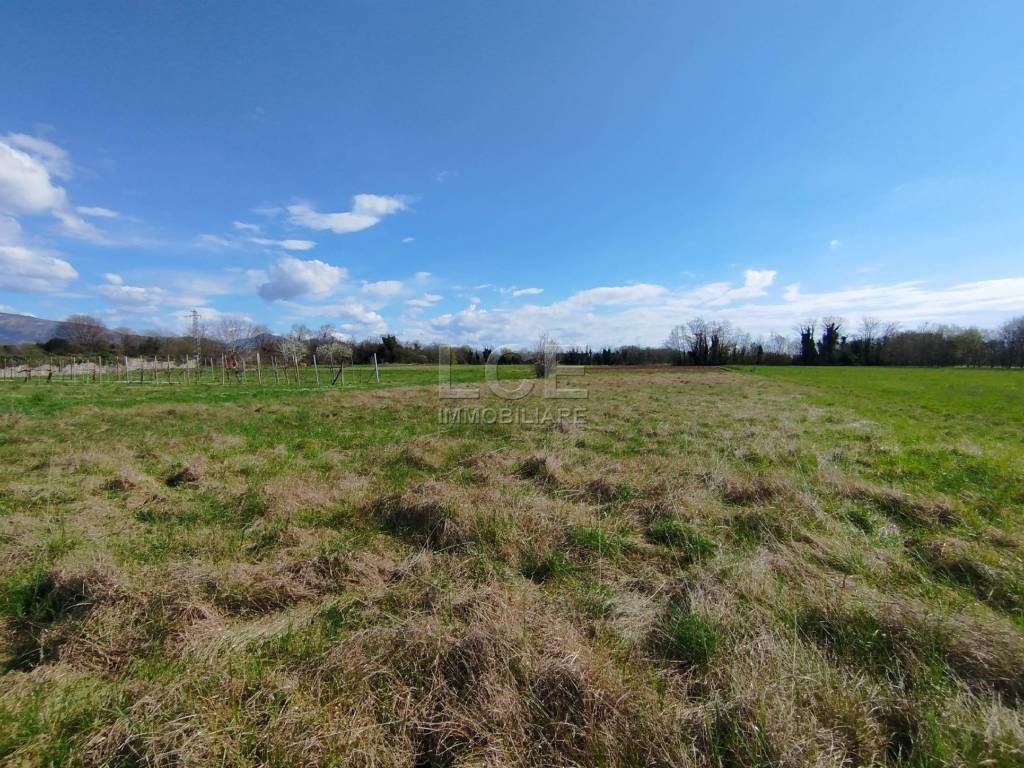 Terreno a Arba in Via Umberto I, 120 - Foto 3