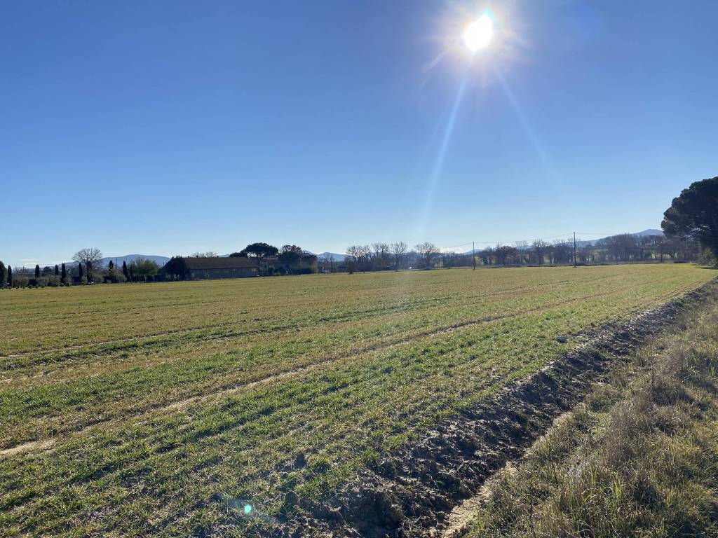 Terreno a Castiglione del lago in Località Cascina - Foto 2