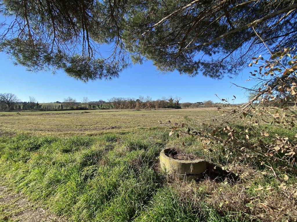 Terreno a Castiglione del lago in Località Cascina - Foto 4