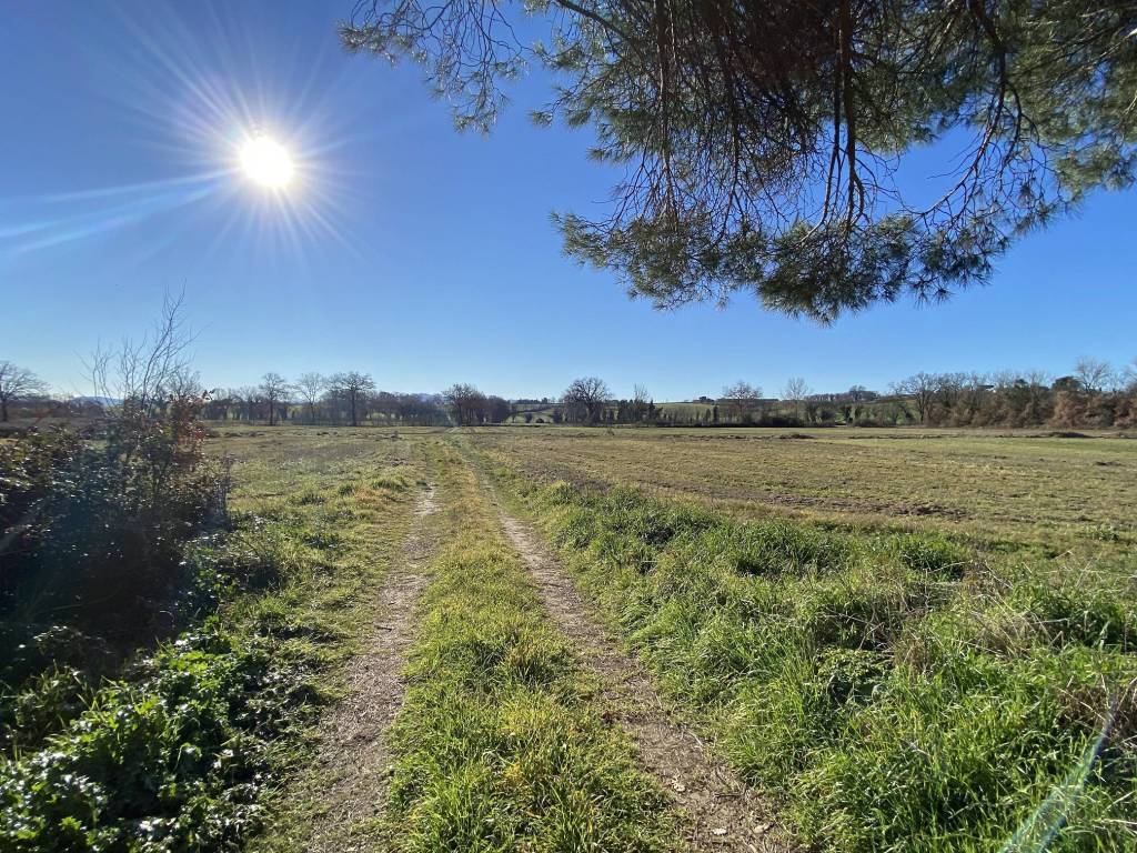 Terreno a Castiglione del lago in Località Cascina - Foto 5