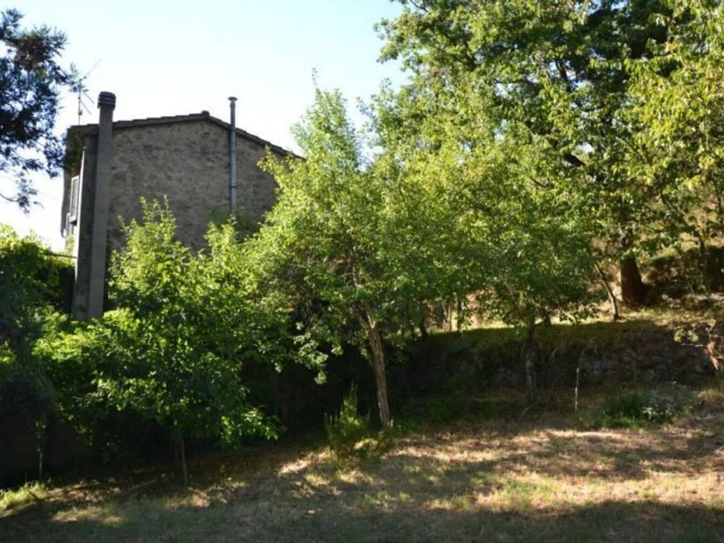 Rustico / casale a Arcidosso - Foto 2