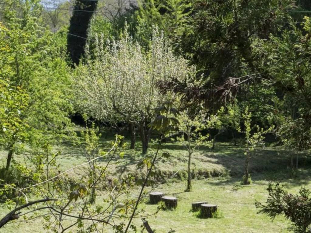 Rustico / casale a Arcidosso - Foto 3