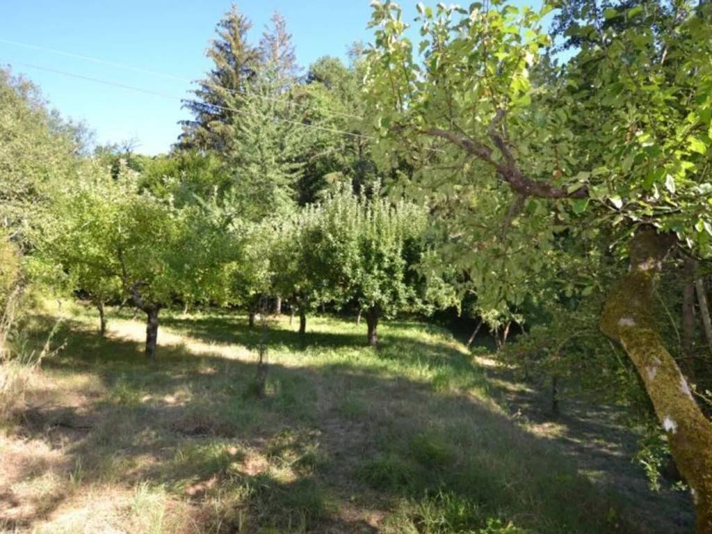Rustico / casale a Arcidosso - Foto 4