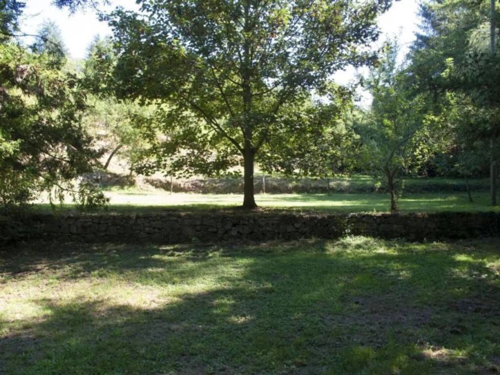 Rustico / casale a Arcidosso - Foto 5