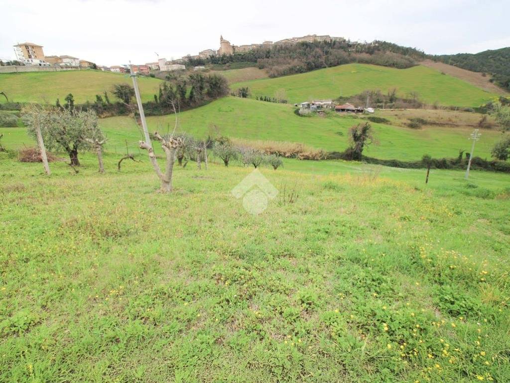 Terreno a Montegiorgio in Strada Provinciale, 1 - Foto 2