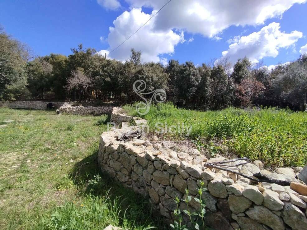 Rustico / casale a Noto in SP24 - Foto 2