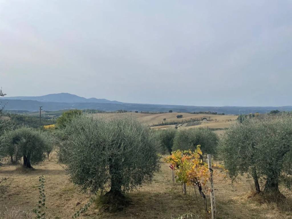 Rustico / casale a Amelia in Strada Provinciale 86 - Foto 5