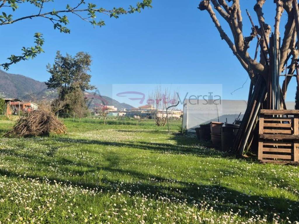 Terreno a Pietrasanta in Via di Porta - Foto 4