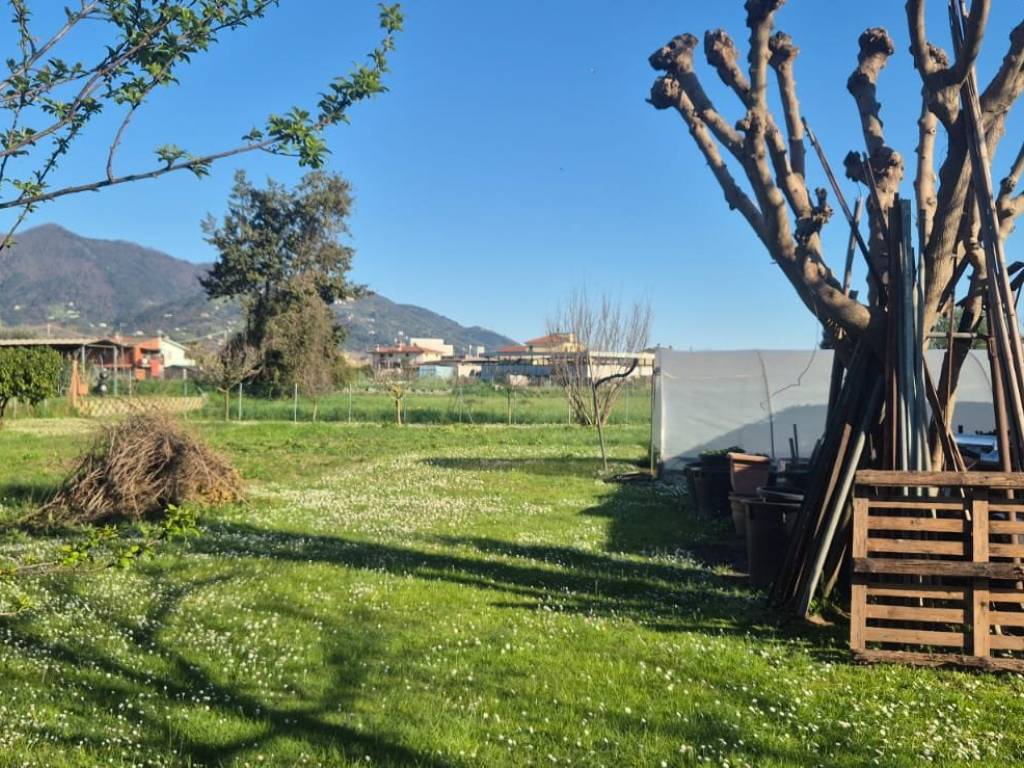 Terreno a Pietrasanta in Via di Porta - Foto 5