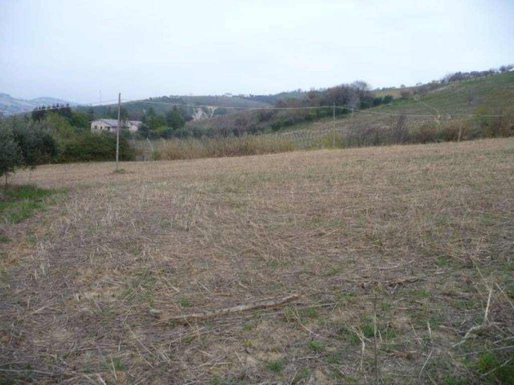 Terreno a Acquaviva picena in Contrada San Angelo - Foto 2