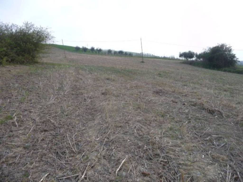 Terreno a Acquaviva picena in Contrada San Angelo - Foto 3