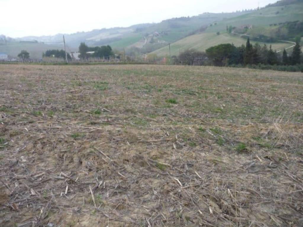 Terreno a Acquaviva picena in Contrada San Angelo - Foto 4