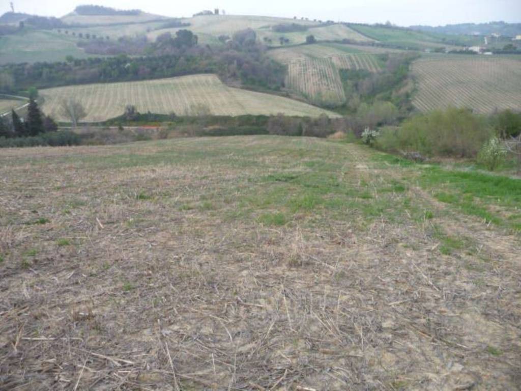 Terreno a Acquaviva picena in Contrada San Angelo - Foto 5
