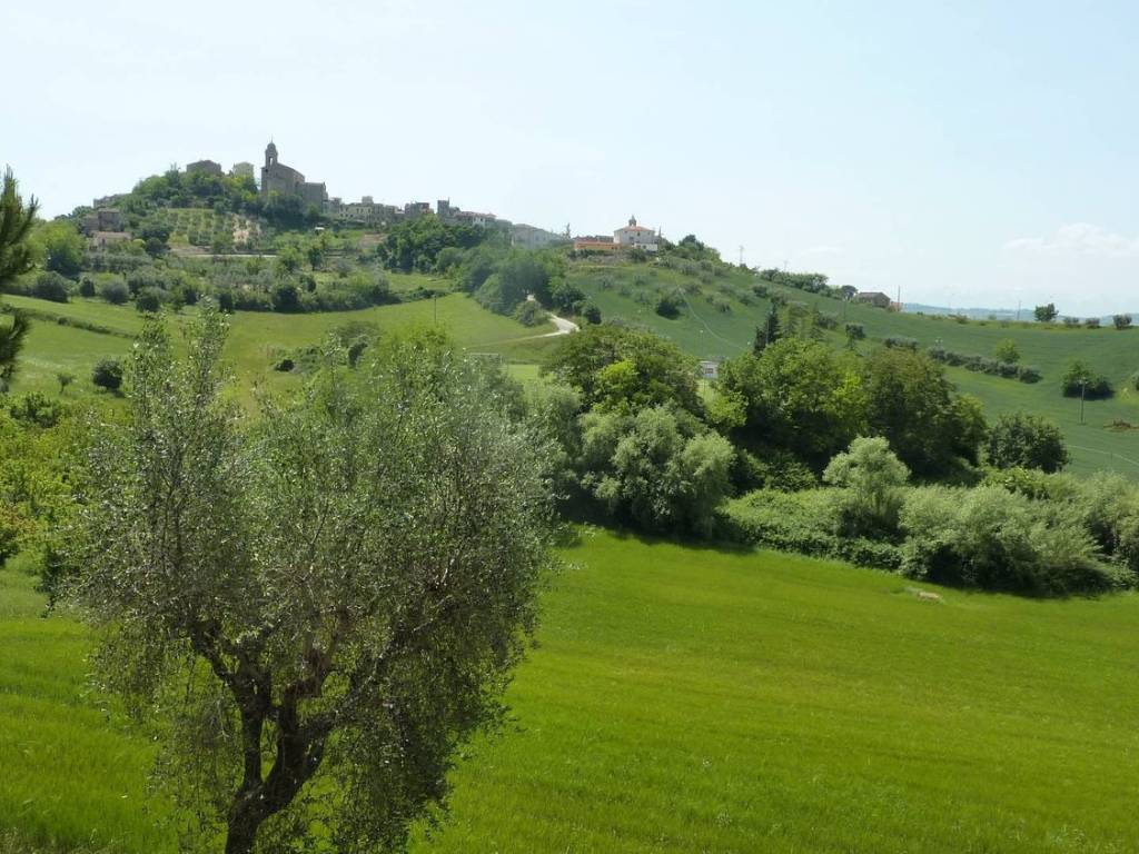 Terreno a Monsampolo del tronto in Via Santi Crocifisso - Foto 2
