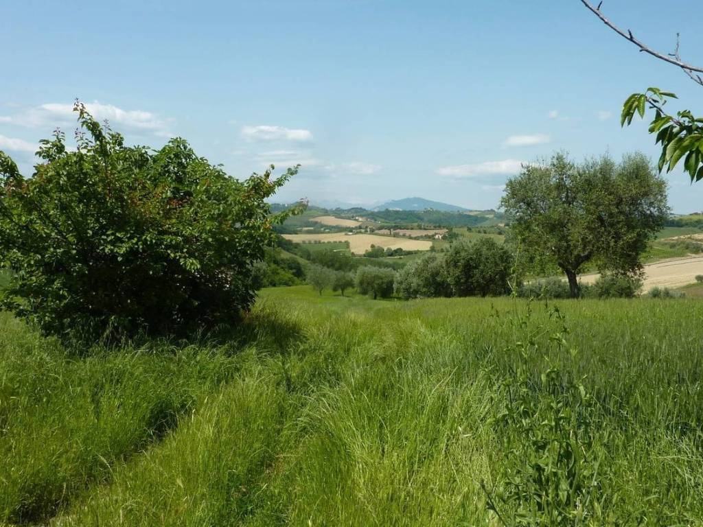 Terreno a Monsampolo del tronto in Via Santi Crocifisso - Foto 5
