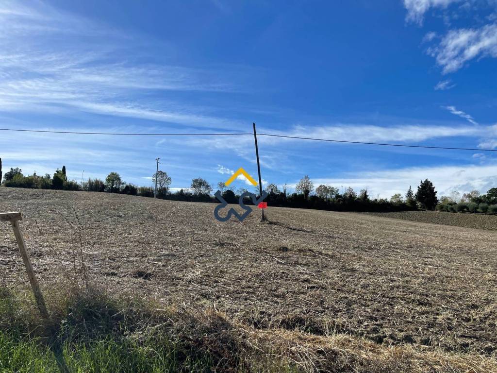 Terreno a Castignano in Strada Provinciale 17, 17 - Foto 2