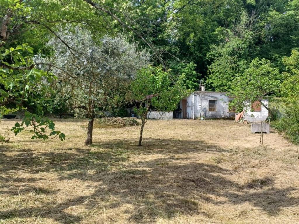 Rustico / casale a Ceccano in Via Colle Rosso - Foto 2