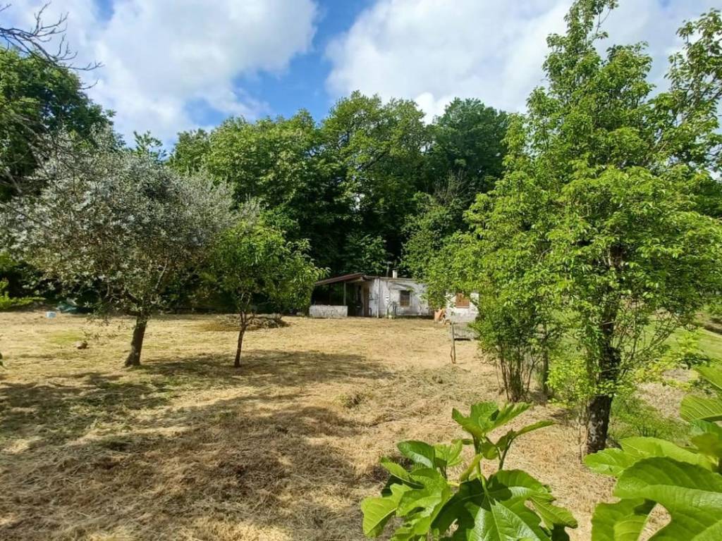 Rustico / casale a Ceccano in Via Colle Rosso - Foto 3
