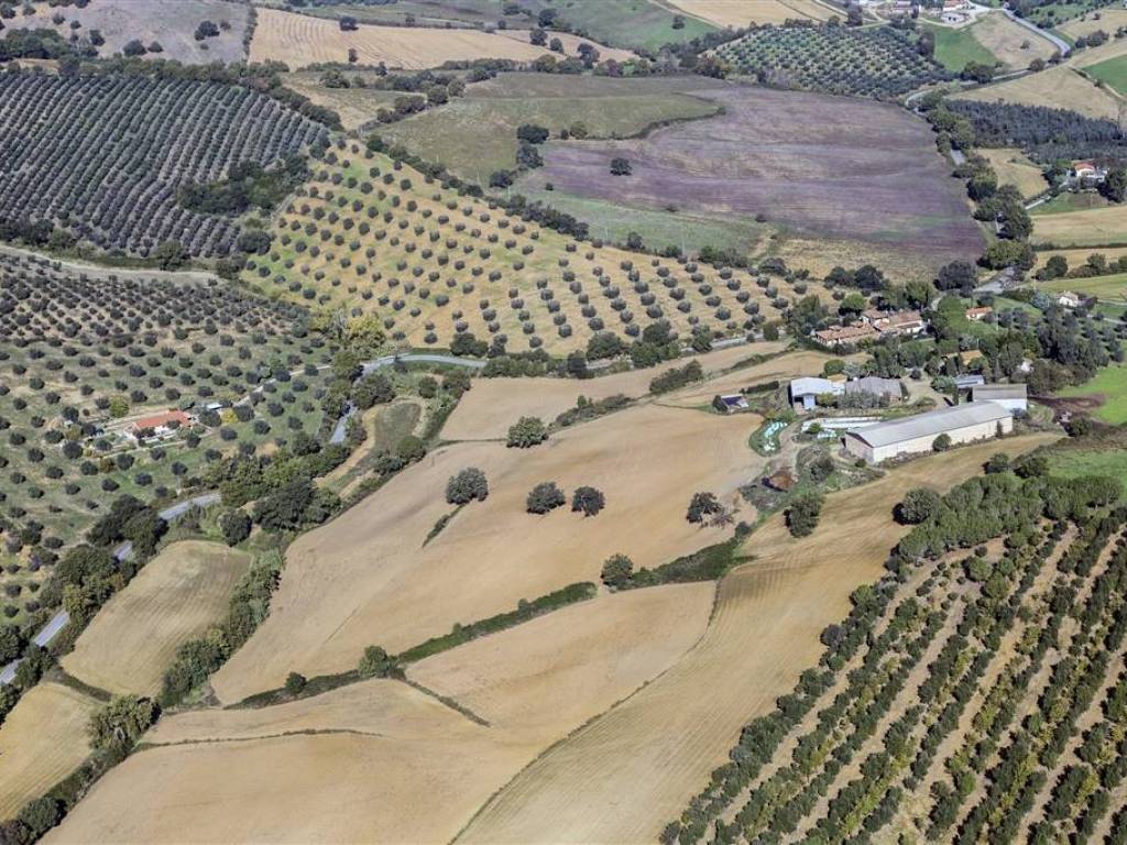 Immobile a Orbetello - Foto 4