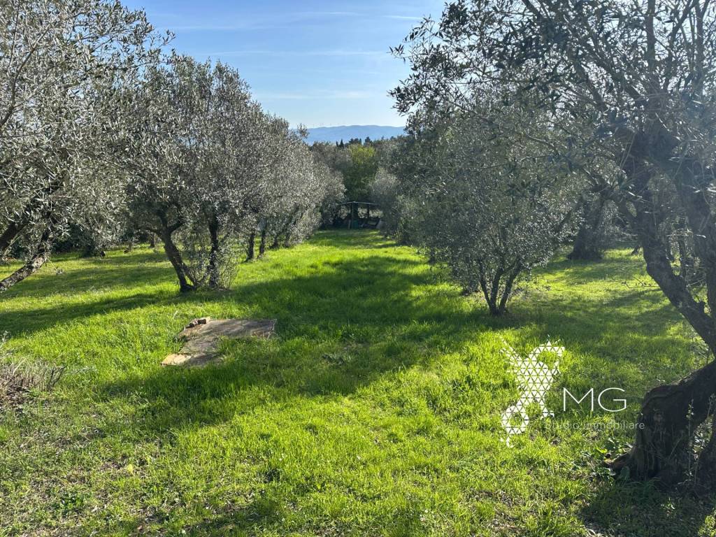 Villa a Rosignano marittimo in Località della Giunca Colli - Foto 4