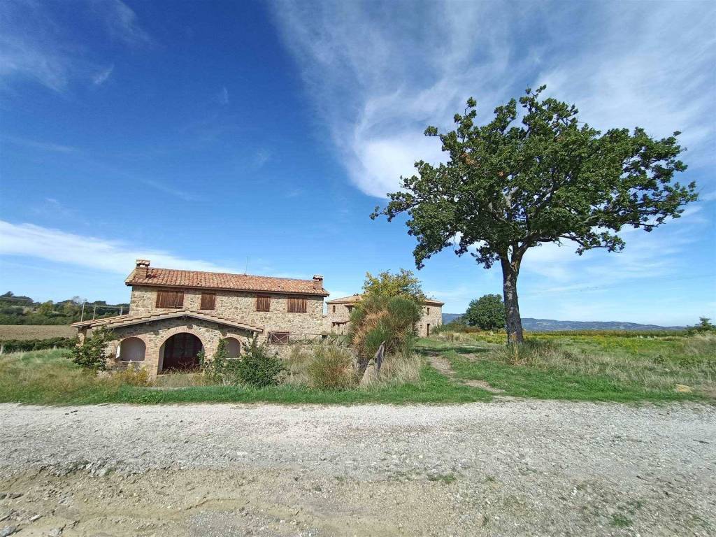 Immobile a Castel del piano - Foto 3