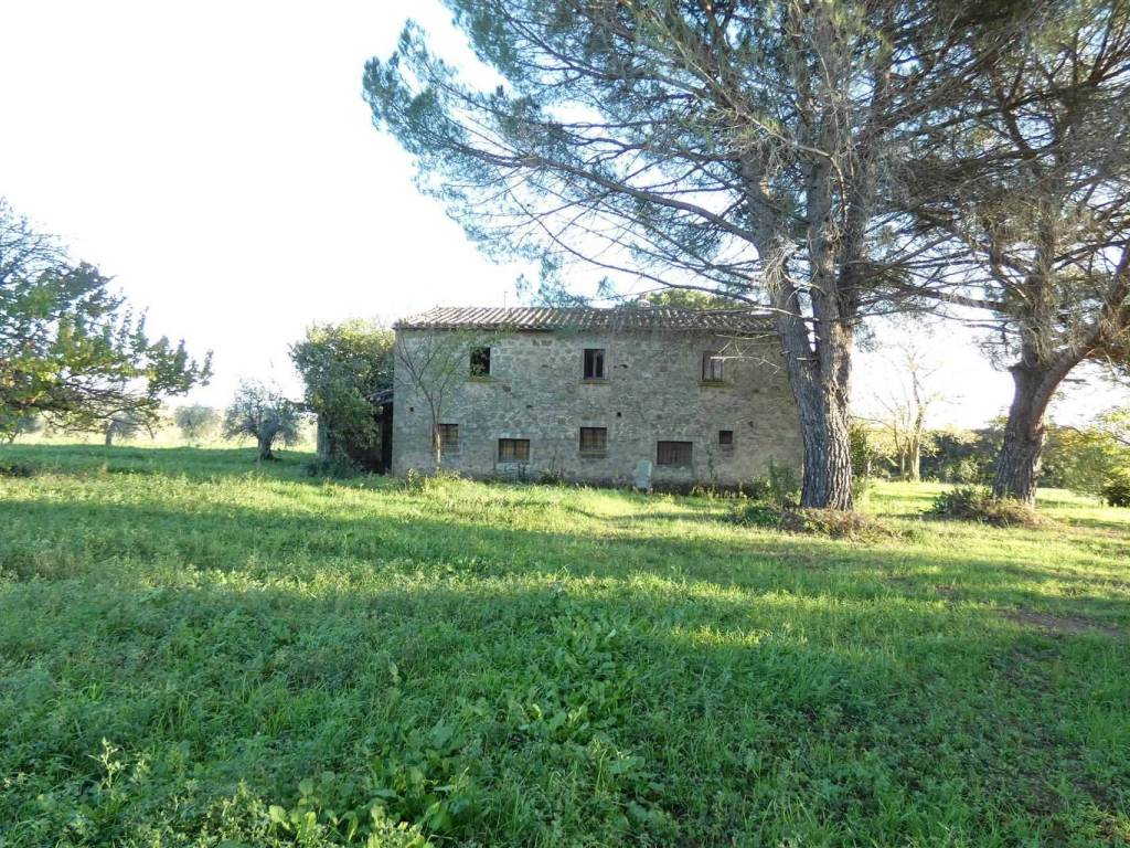 Rustico / casale a Roccastrada - Foto 5