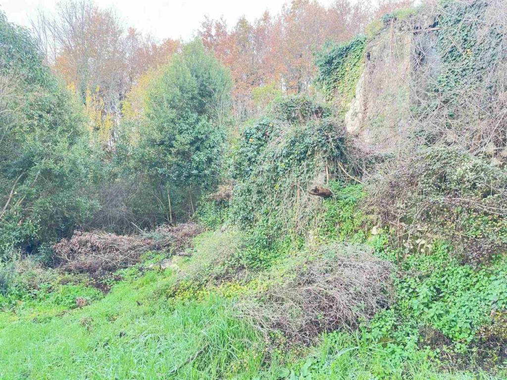 Terreno a Alvignano in Via Trainaro, 9 - Foto 2